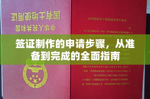 阳高签证制作的申请步骤，从准备到完成的全面指南